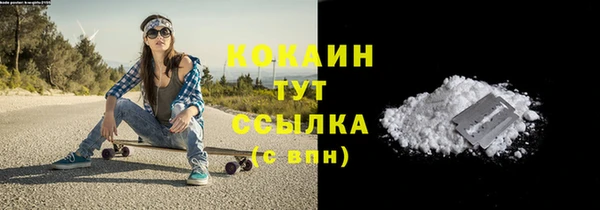 молекула духа Покровск