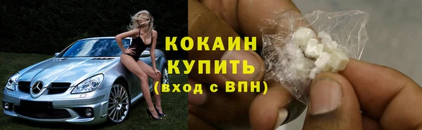 ГАЛЛЮЦИНОГЕННЫЕ ГРИБЫ Покров