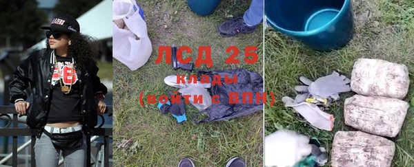 ГАЛЛЮЦИНОГЕННЫЕ ГРИБЫ Покров
