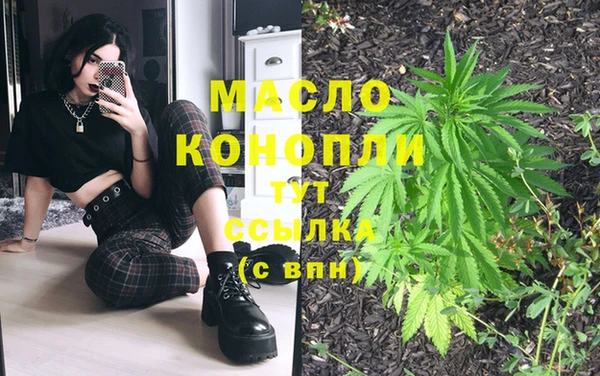 молекула духа Покровск