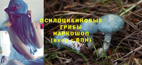 дживик Покачи