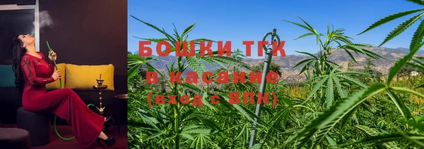 молекула духа Покровск