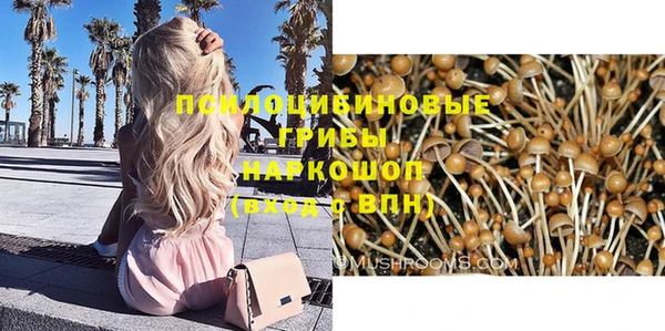 молекула духа Покровск